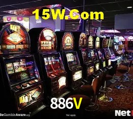 Login Seguro 886V